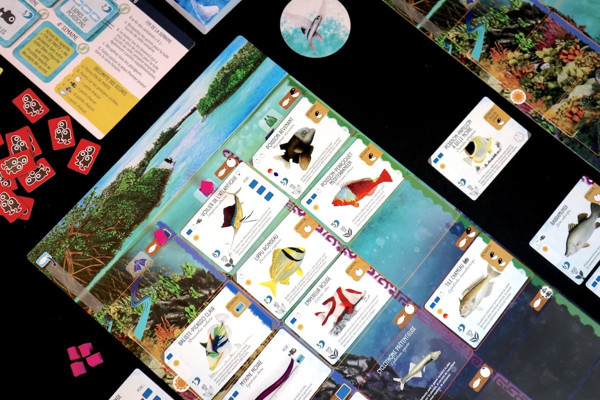 Le jeu de société Finspan