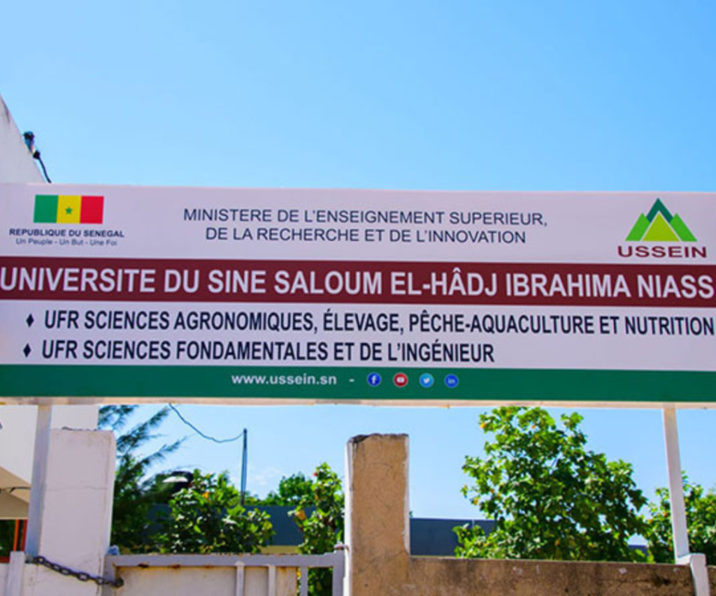 Université Sine-Saloum : Le Synapes alerte sur les difficultés budgétaires du Crous