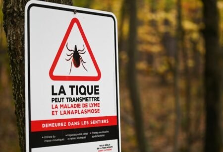 Appel à la prudence concernant les piqûres de tiques et de moustiques