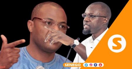 Sonko – Mame Mbaye Niang : Le dossier refait surface devant la Cour suprême