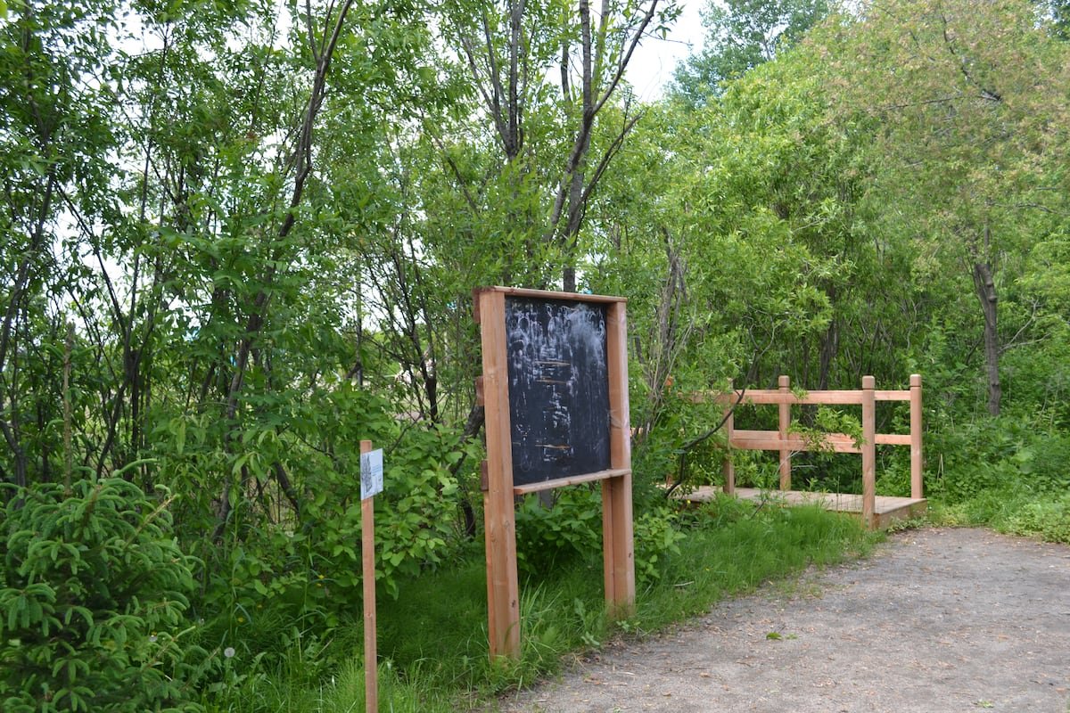 Tableau noir dans la forêt éducative de l'école L'Eau-Vive.