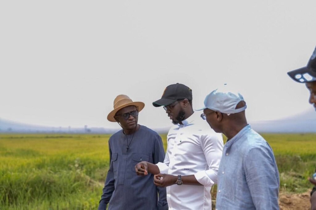 Diama : le président Diomaye Faye inspecte un casier agricole du projet de développement rural de Savoigne