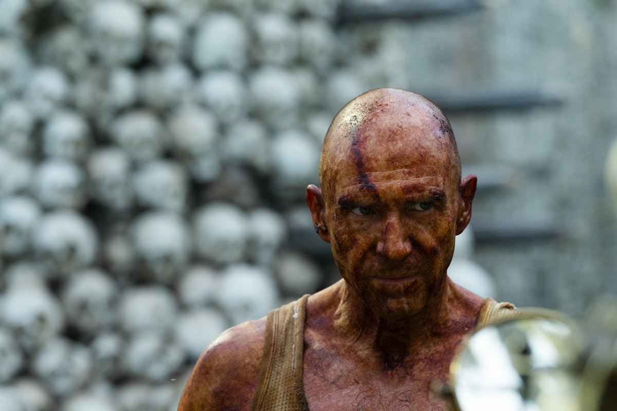 Ralph Fiennes dans <em>28 ans plus tard</em>