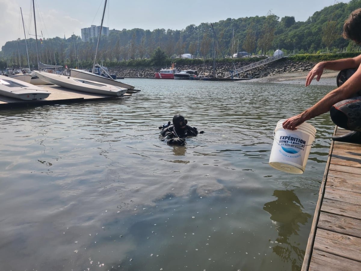 Les plongeurs sont ressortis bredouilles de la marina au Yacht-Club de Québec en raison des conditions défavorables.