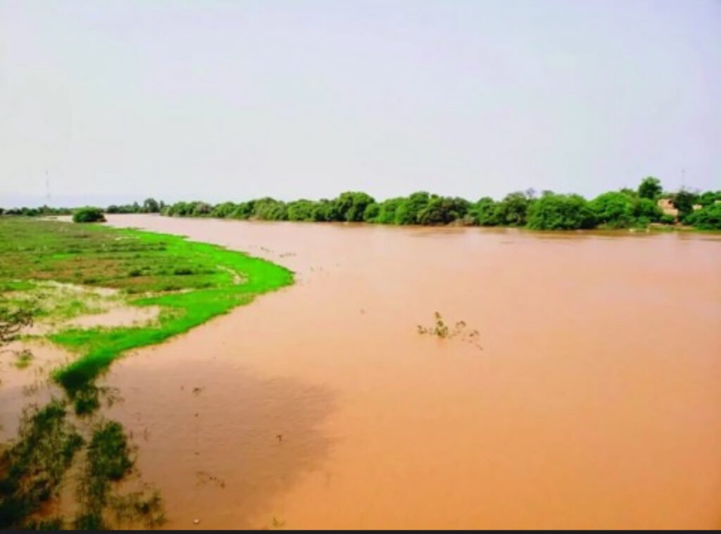 Montée des eaux à Podor : le niveau du fleuve atteint 5,25 mètres