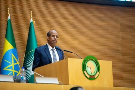 L’UA veut « doter les jeunes africains de compétences numériques, vertes et intelligentes »