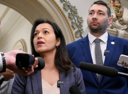 Québec solidaire veut bloquer le projet de constitution québécoise