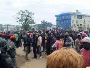 Présidentielle au Cameroun, 20 manifestants arrêtés