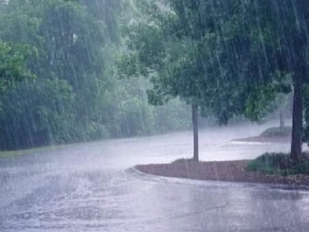 Alerte Météo : des pluies orageuses attendues sur plusieurs régions ce week-end